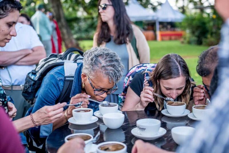 Coffee Farm Tour (Fairview) - What to Expect from the Fairview Coffee Farm Tour