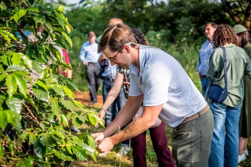 Coffee Farm Tour (Fairview) - Why This Tour Works Well