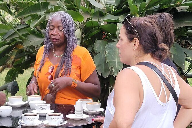 Coffee Farm Tour (Fairview) - Detailed Review of the Coffee Farm Experience