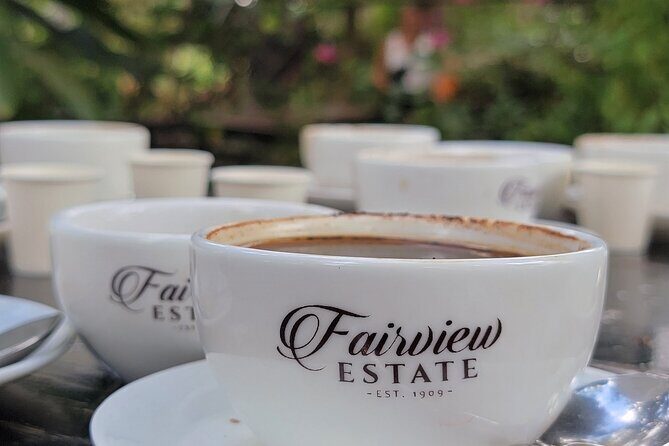 Coffee Farm Tour (Fairview) - Practical Details and Tips