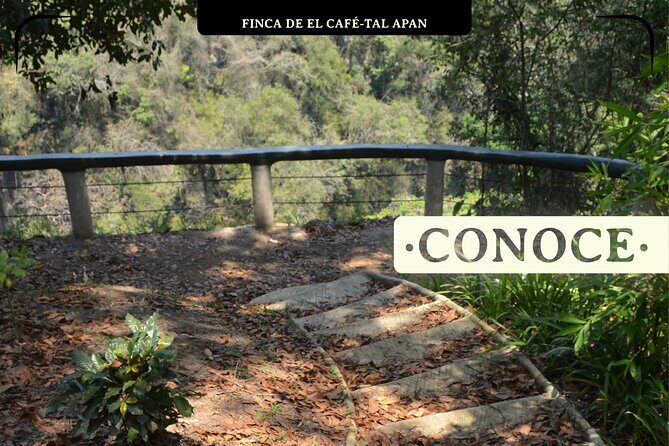 Coffee Museum and Coffee Tour el Cafe-tal apan - Frequently Asked Questions
