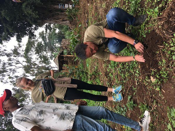 Coffee tour and Buffet Lunch with Kingstone Asilia (Arusha) - A Detailed Look at the Experience