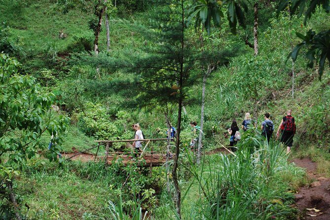 Coffee Tour Experience from Arusha - Frequently Asked Questions