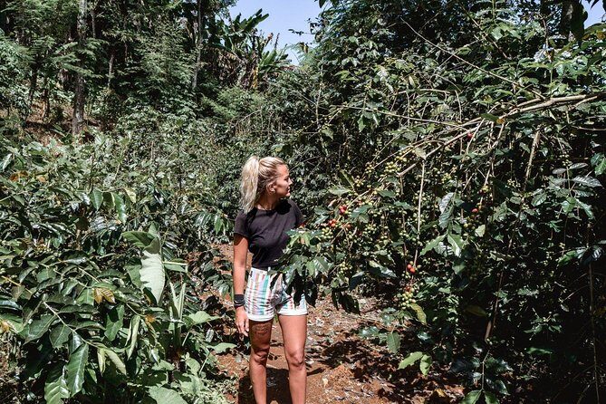 Coffee Tour Experience from Arusha - Final Thoughts
