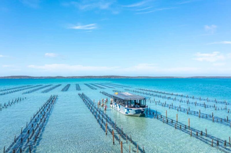 Coffin Bay: Oyster Farm Boat Tour with Wading & 12 Oysters - An Authentic Look at Coffin Bay’s Oyster Industry