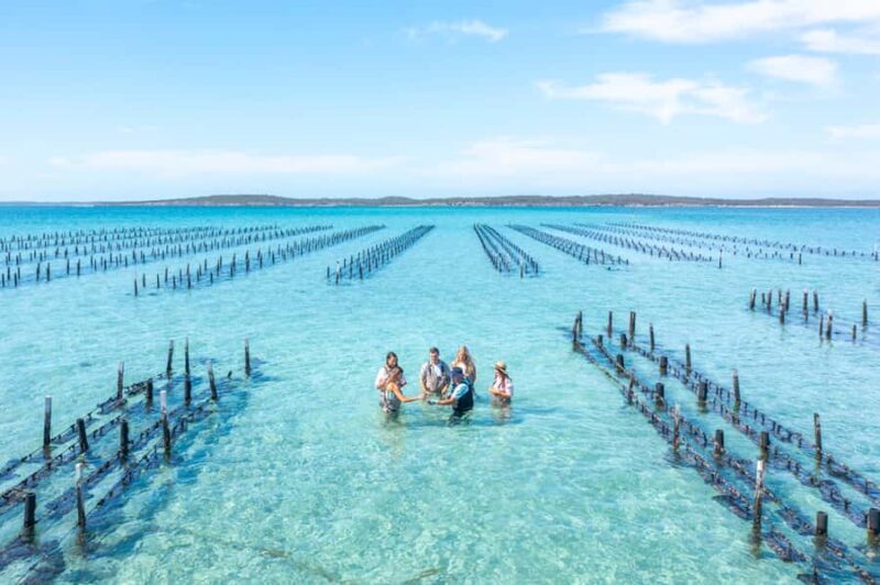 Coffin Bay: Oyster Farm Boat Tour with Wading & 12 Oysters - Wading, Swimming, and Raw Oysters