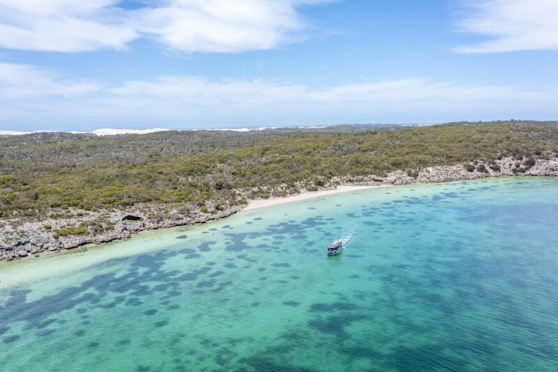 Coffin Bay: Oyster Farm Boat Tour with Wading & 12 Oysters - The Oysters and the Food Experience