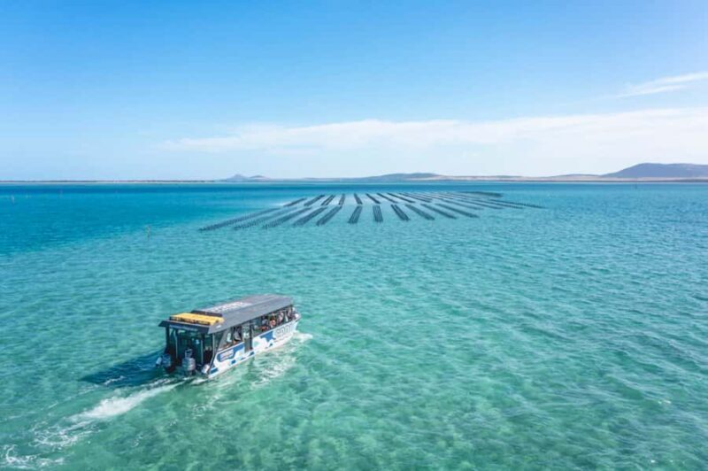 Coffin Bay: Oyster Farm Boat Tour with Wading & 12 Oysters - Practical Details