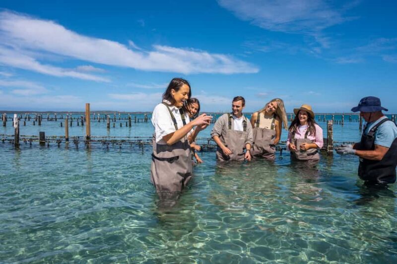 Coffin Bay: Oyster Farm Boat Tour with Wading & 12 Oysters - FAQs