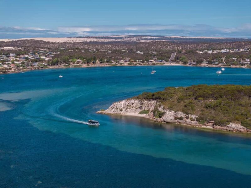 Coffin Bay: Short and Sweet Oyster Farm Tour - The Practical Side: Logistics and Value