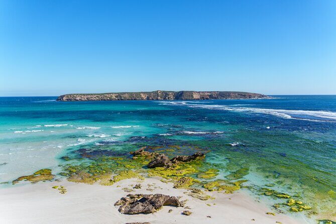 Coffin Bay Tour with Oyster Shucking and Off Road Adventure - Key Points