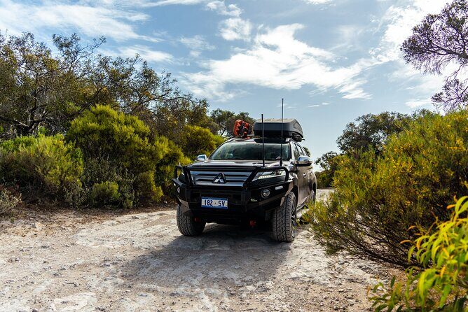 Coffin Bay Tour with Oyster Shucking and Off Road Adventure - An In-Depth Look at the Coffin Bay Tour