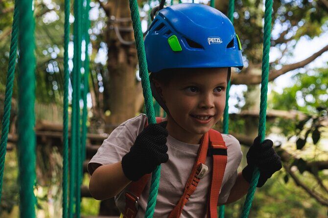 Coffs Harbour Climbing & Junior Ropes Course - What to Expect from the Junior Ropes Course