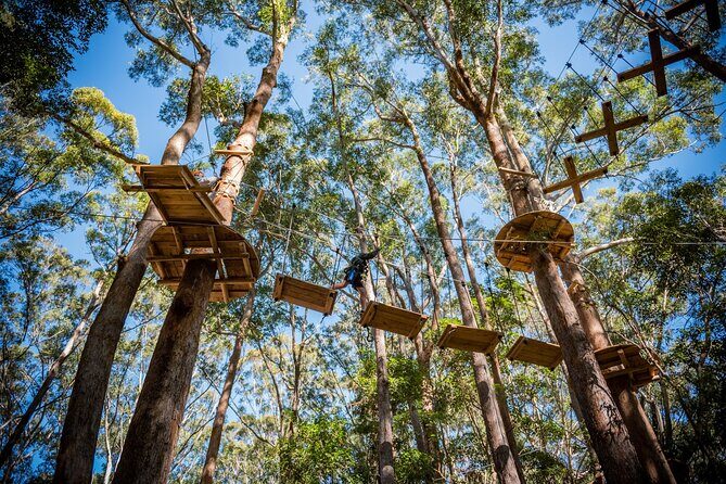 Coffs Harbour Climbing & Junior Ropes Course - Final Thoughts