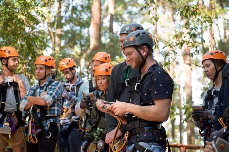 Coffs Harbour: Treetops Adventure Tree Ropes Course - A Closer Look at the Treetops Adventure Experience