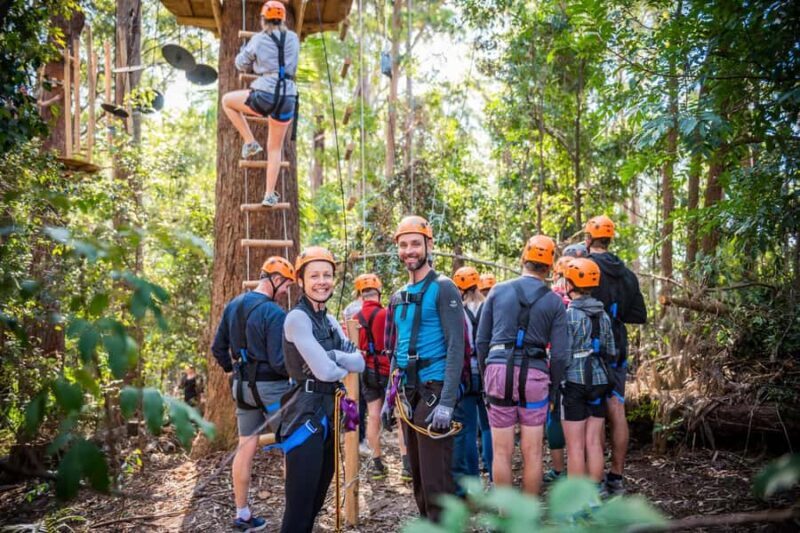 Coffs Harbour: Treetops Adventure Tree Ropes Course - Final Thoughts: Who Will Love This?