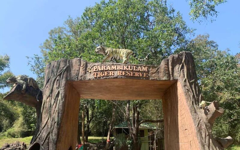 Coimbatore Day Tour: Forest, Wildlife & Hill Station Trip - Practical Details and What to Pack