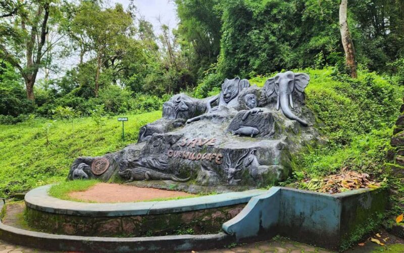 Coimbatore Day Tour: Forest, Wildlife & Hill Station Trip - Final Thoughts