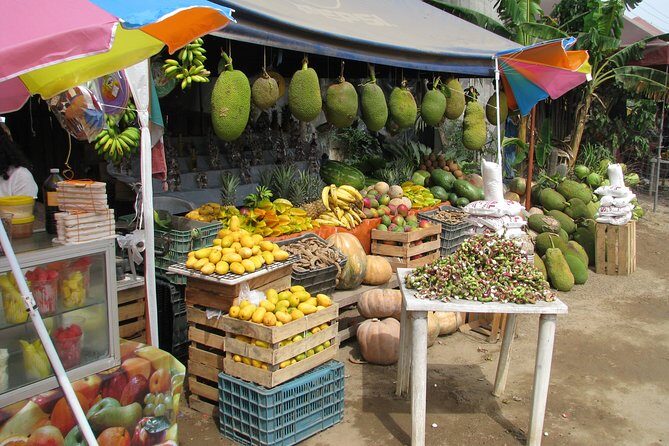 colima cultural and volcano - Analyzing the Value