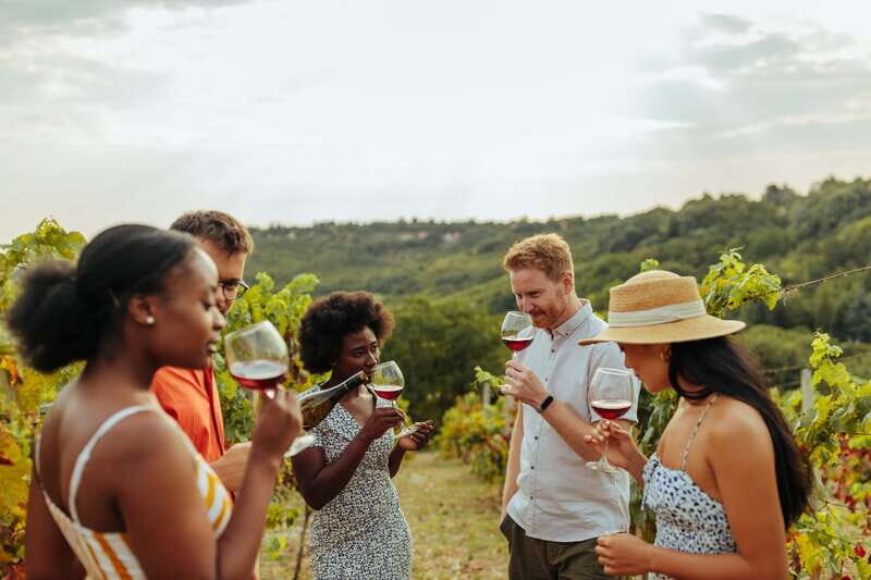 Collingwood: Blue Mountains Wine and Cider Tasting Tour - A Practical Guide to the Blue Mountains Wine and Cider Tour
