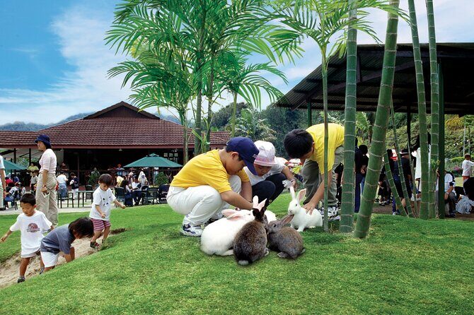 Colmar Tropicale and Batu Caves Day Trip (SIC - Join In Tour) - Who Will Enjoy This Tour?