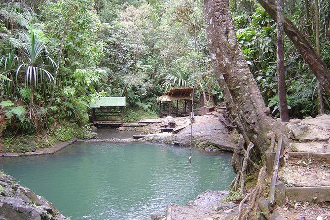 Colo-i-Suva Waterfall Tour (Suva) - A Closer Look at the Tour Itinerary