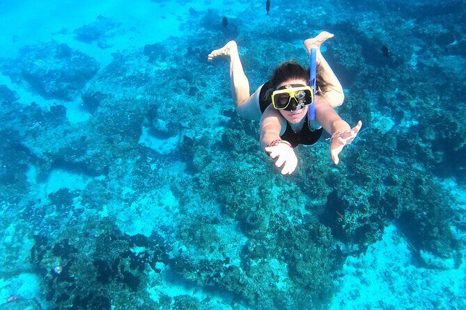 Colombia, Palancar & Cielo Cozumel Snorkel Tour - What the Tour Offers