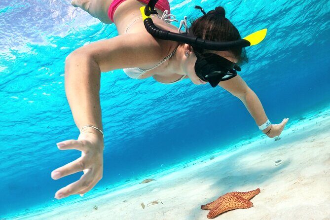 Colombia, Palancar & Cielo Cozumel Snorkel Tour - The Value of This Tour