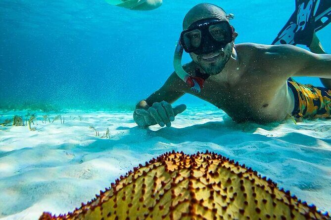 Colombia, Palancar & Cielo Cozumel Snorkel Tour - Final Thoughts