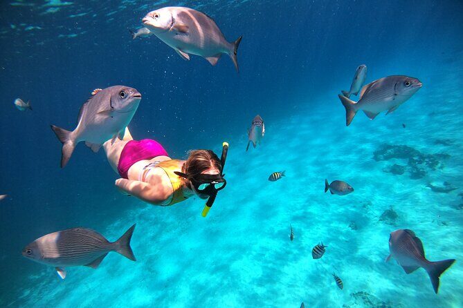 Colombia, Palancar & Cielo Cozumel Snorkel Tour - FAQ