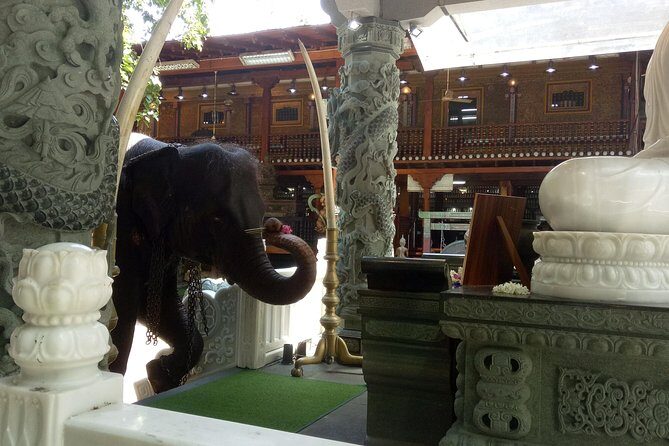 Colombo City Day Tour - Transportation and Group Size