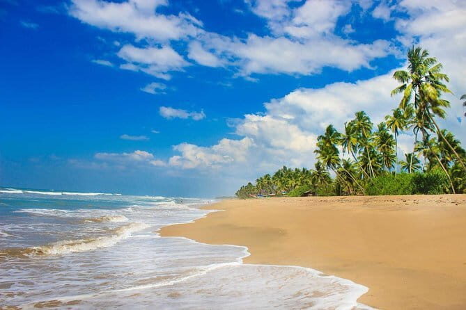 Colombo (CMB) Airport to Kandy City Private Transfer - FAQ