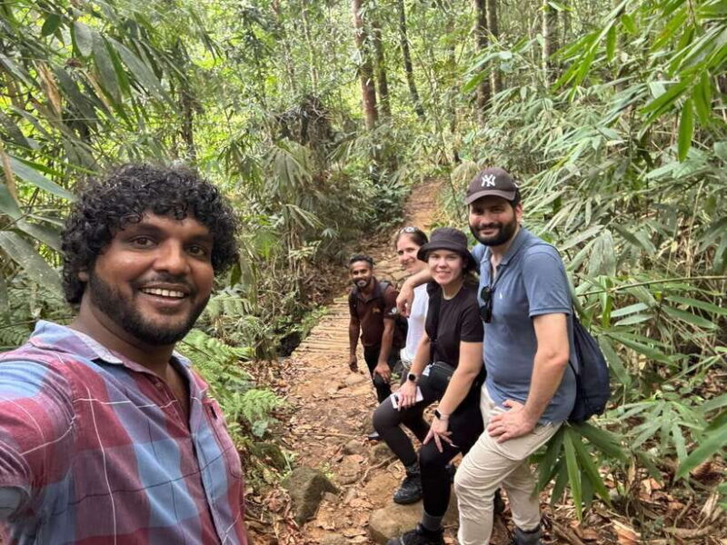 Colombo/Cmb/ Sinharaja Rainforest Day Trip with Lunch - Why You Should Consider This Tour