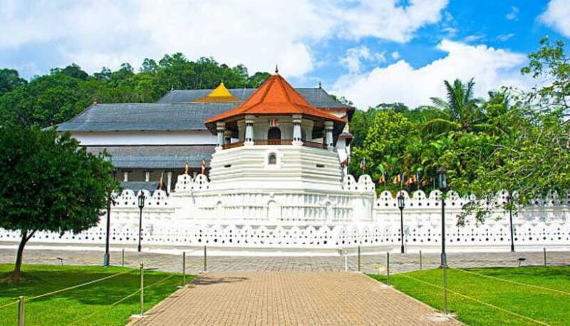 Colombo: Kandy and Pinnawala full day trip - Who Would Enjoy This Tour?