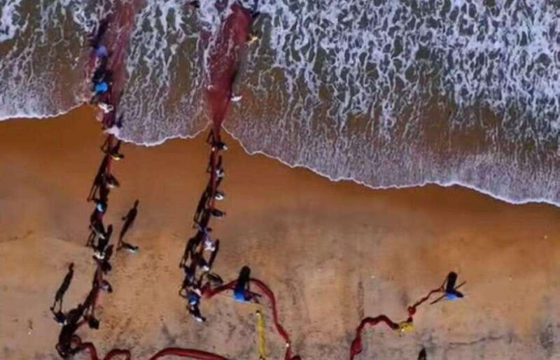 Colombo/ Negombo : Galle Fort & Bentota Beach Day Tour - A Genuine Look at the Tour Experience