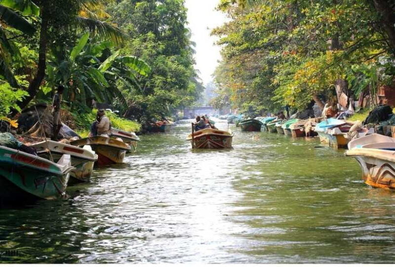 Colombo/Negombo: Muthurajawela & Dutch Canal Boat Adventure - Practical Insights: What to Expect