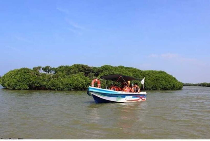 Colombo/Negombo: Muthurajawela & Dutch Canal Boat Adventure - Final Thoughts