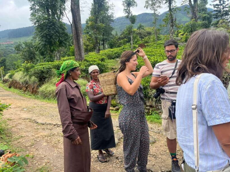 Colombo: Nuwara Eliya: Tea Gardens,Colonial Charm & High Tea - Key Points