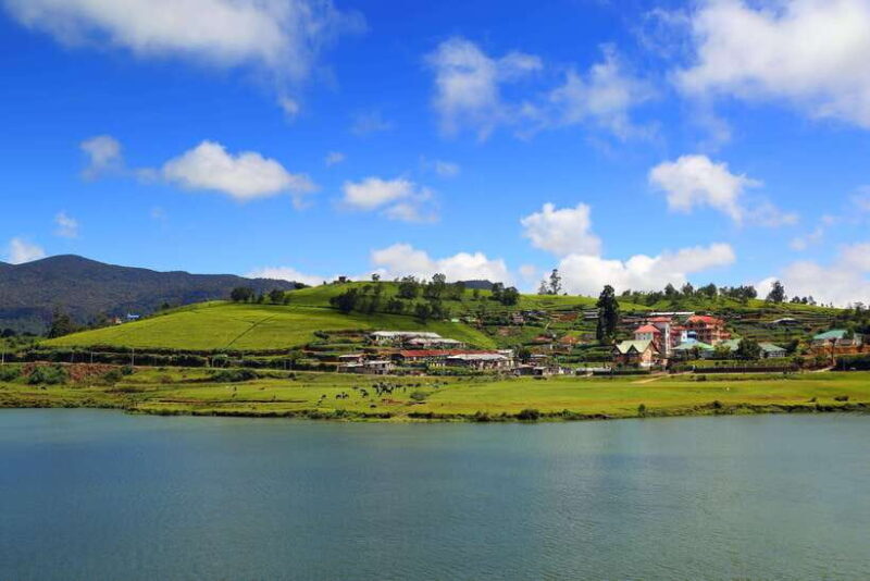 Colombo: Nuwara Eliya: Tea Gardens,Colonial Charm & High Tea - An In-Depth Look at the Tour Experience