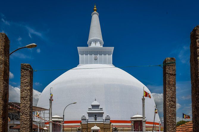 Colombo Port Private Shore excursion and Tours - Who Will Enjoy This Tour?