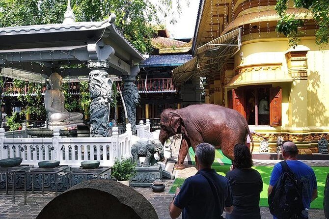 Colombo private City Tour by TukTuk Experience Morning or Evening - Final Thoughts