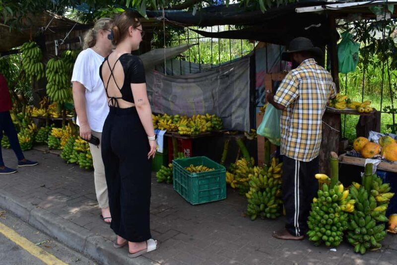 Colombo: private city tour from Negombo with hotel transfers - Value and Practicalities