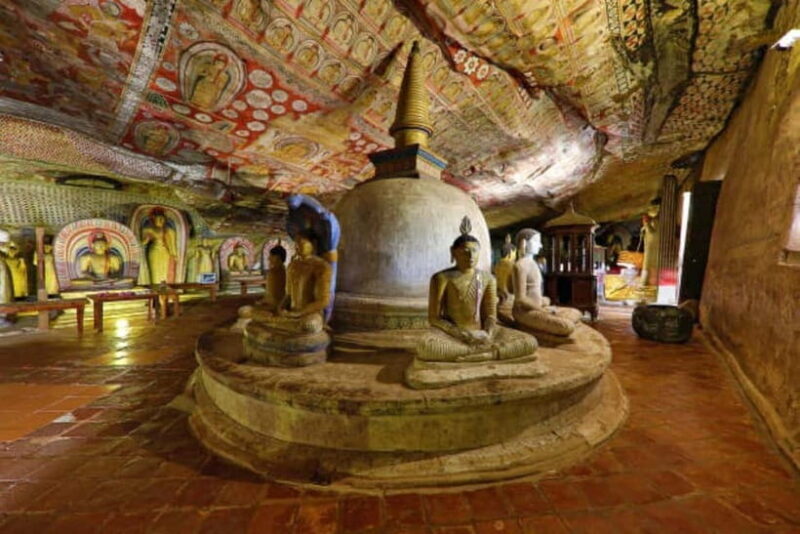 Colombo: Sigiriya, Dambulla Caves, & Wildlife Day Tour - An Introduction to the Tour: A Day of Heritage and Wildlife
