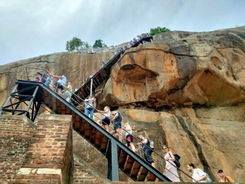 Colombo: Sigiriya Dambulla & Minneriya park Safari day tour - Who Is This Tour Best For?