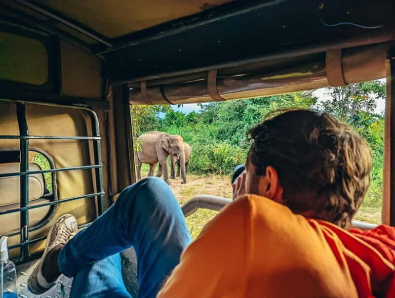 Colombo: Sigiriya Rock, Dambulla & Jeep Safari All Inclusive - Key Points