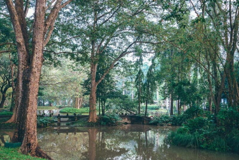 Colombo: Sigiriya Rock, Dambulla & Jeep Safari All Inclusive - The Sum Up