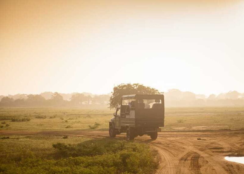 Colombo: Sri Lanka Cultural Triangle Hotspots 2-Day Tour - Day 2: Sigiriya, Dambulla, and Wildlife