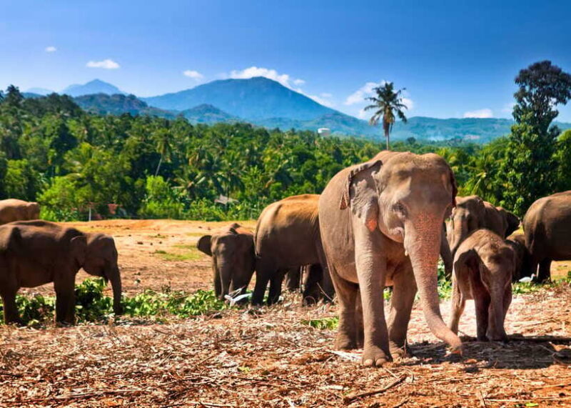 Colombo: Sri Lanka Cultural Triangle Hotspots 2-Day Tour - Why This Tour Works