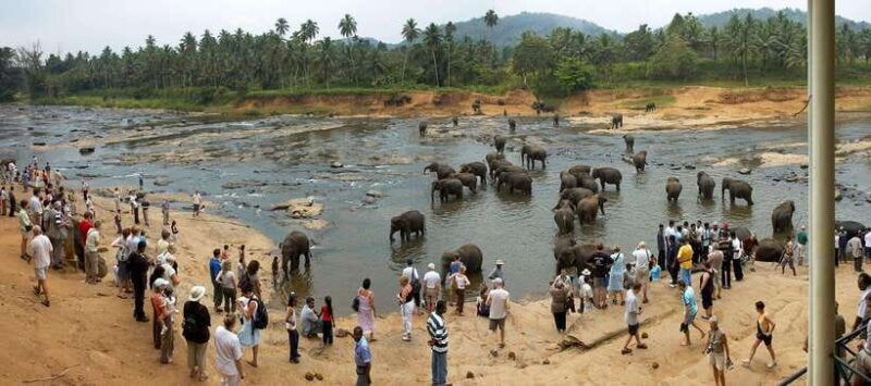 Colombo to Kandy, Pinnawela and Tea Factory Day Tour - Who Is This Tour Best For?