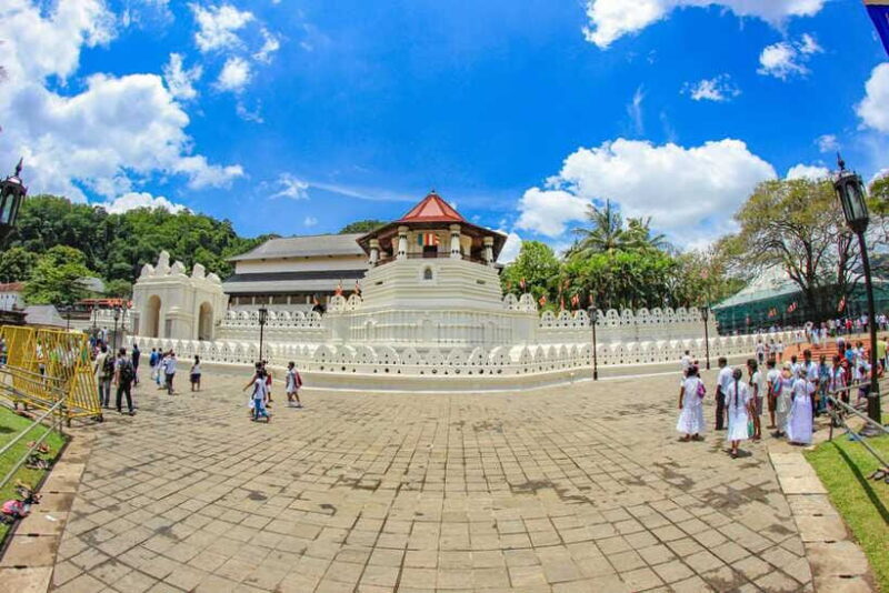 Colombo to Kandy, Pinnawela and Tea Factory Day Tour - FAQ